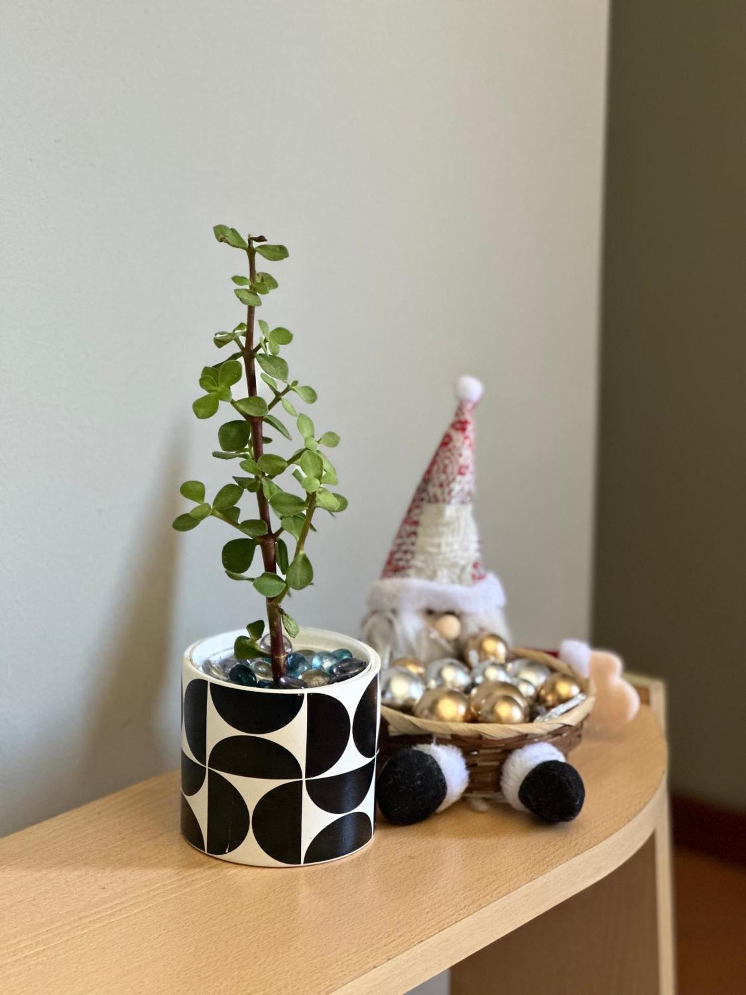Jacob's Rest Apartment